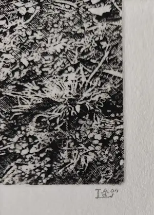 Ton de Laat - Grondje kopen? Bied vanaf 40!