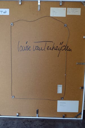 Louise van Terheijden - Stroom kopen? Bied vanaf 58!