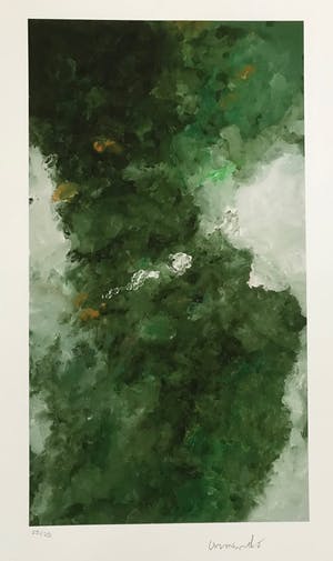 Armando - Kleurrijke Giclée - Waldig - 2018 - 23/25 - Gesigneerd kopen? Bied vanaf 115!