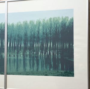 Martin T.J.M van de Laar - landschappelijk tweeluik | zeefdruk - ingelijst kopen? Bied vanaf 39!