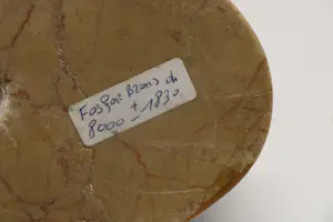 Niet of onleesbaar gesigneerd - fosfor brons haan kopen? Bied vanaf 1!