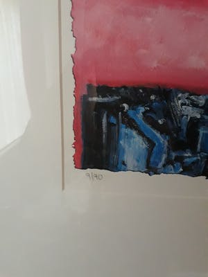 Peter Klashorst - a life off picasso kopen? Bied vanaf 79!