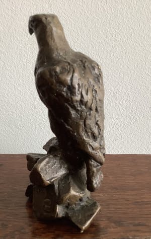 Brons (Onbekend) - Roofvogel kopen? Bied vanaf 150!