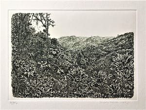 Simon Koene - Tropisch oerwoud met ver dal kopen? Bied vanaf 30!