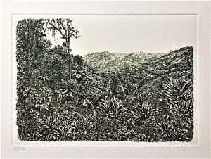 Simon Koene - Tropisch oerwoud met ver dal verkocht voor € 30!