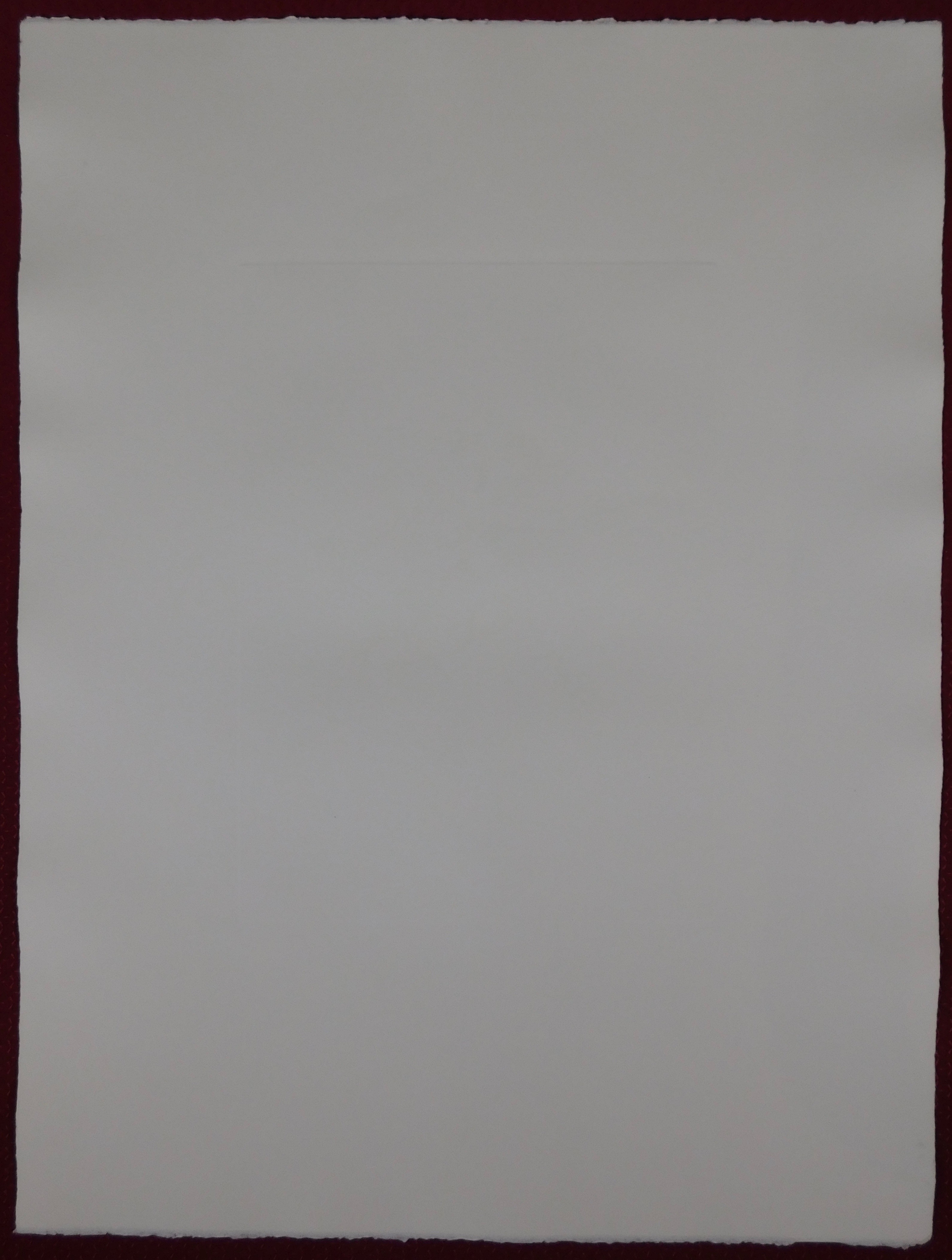 Leonor Fini - La Sorciere sur le Balai kopen? Bied vanaf 60!