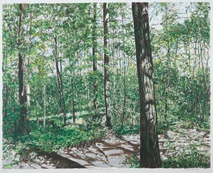 Karin Elfrink - Zeefdruk, Bomen Bos Koningsduin kopen? Bied vanaf 35!