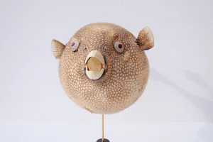 Niet of onleesbaar gesigneerd - Parelhoen kogelvis ("Golden Puffer") // Kogelvis // Op sokkel kopen? Bied vanaf 1!