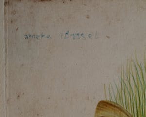 Anneke van Brussel - Zelfportret met vlinders en sprinkhanen kopen? Bied vanaf 400!