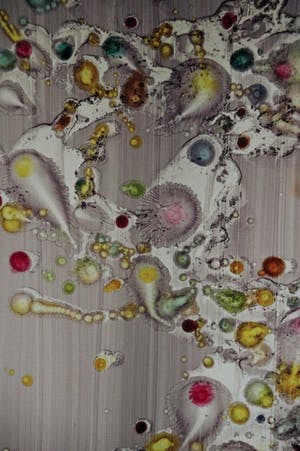 Marc Mulders - Ingelijste zeefdruk kopen? Bied vanaf 295!