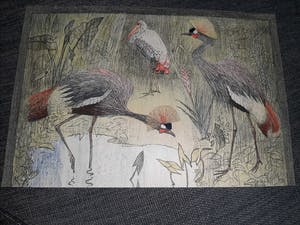 Leo Visser - Watervogels kopen? Bied vanaf 20!