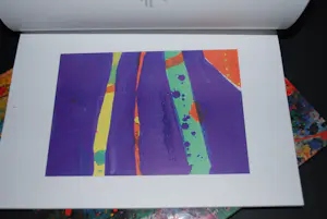 Sam Francis - 1 hardcover 1991 & 1 softcover 2021 kopen? Bied vanaf 50!
