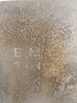 Ellis Tertoolen - Klassiek damesportret in profiel kopen? Bied vanaf 250!