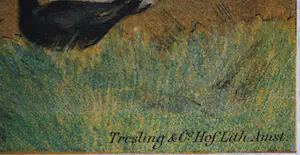 Willem Steelink (sr.) - Duiven voeren - grote zeldzame kleurenlitho (Tresling Amsterdam) kopen? Bied vanaf 50!