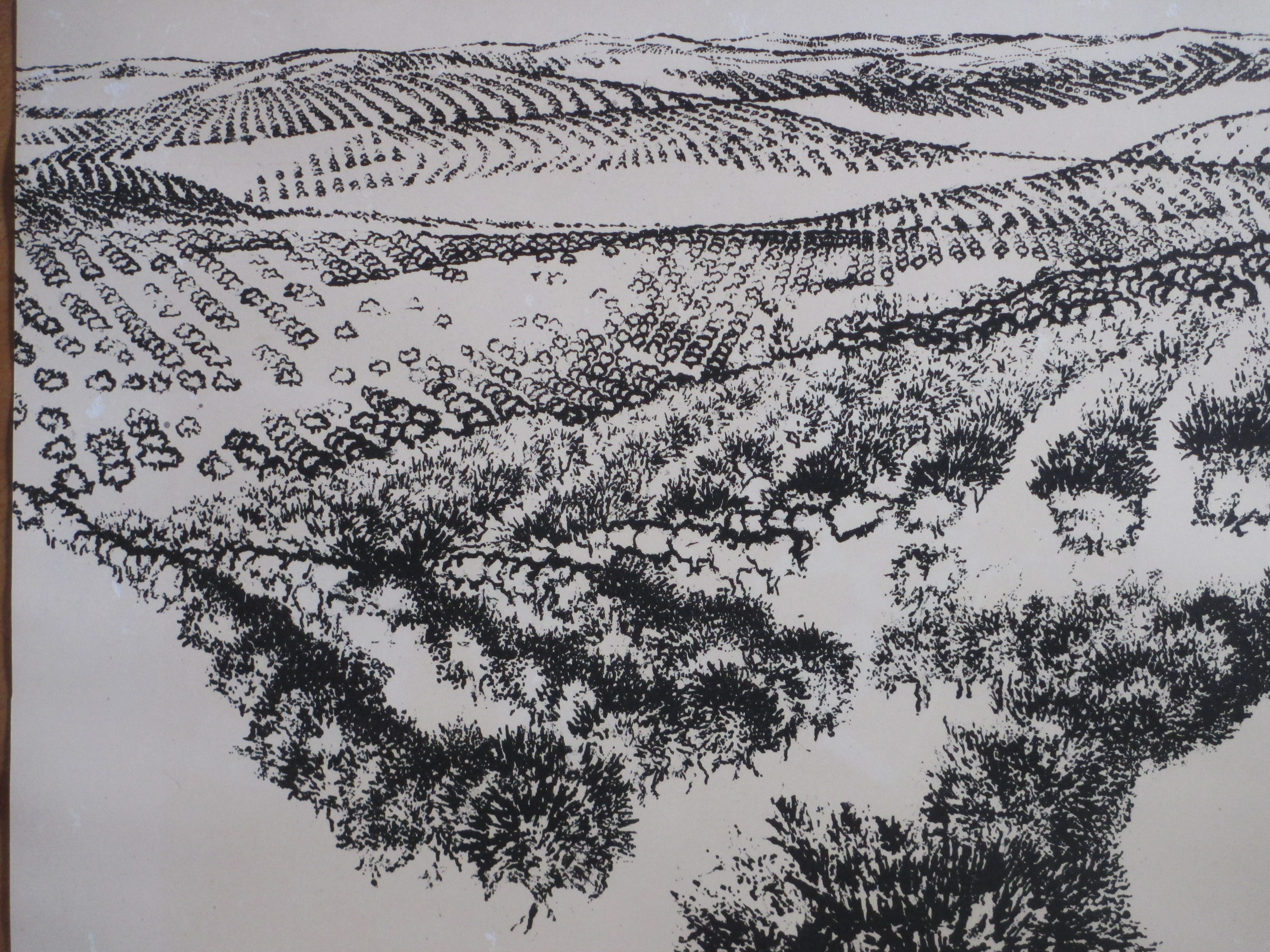 Ap Sok - Spaans landschap - Litho kopen? Bied vanaf 1!