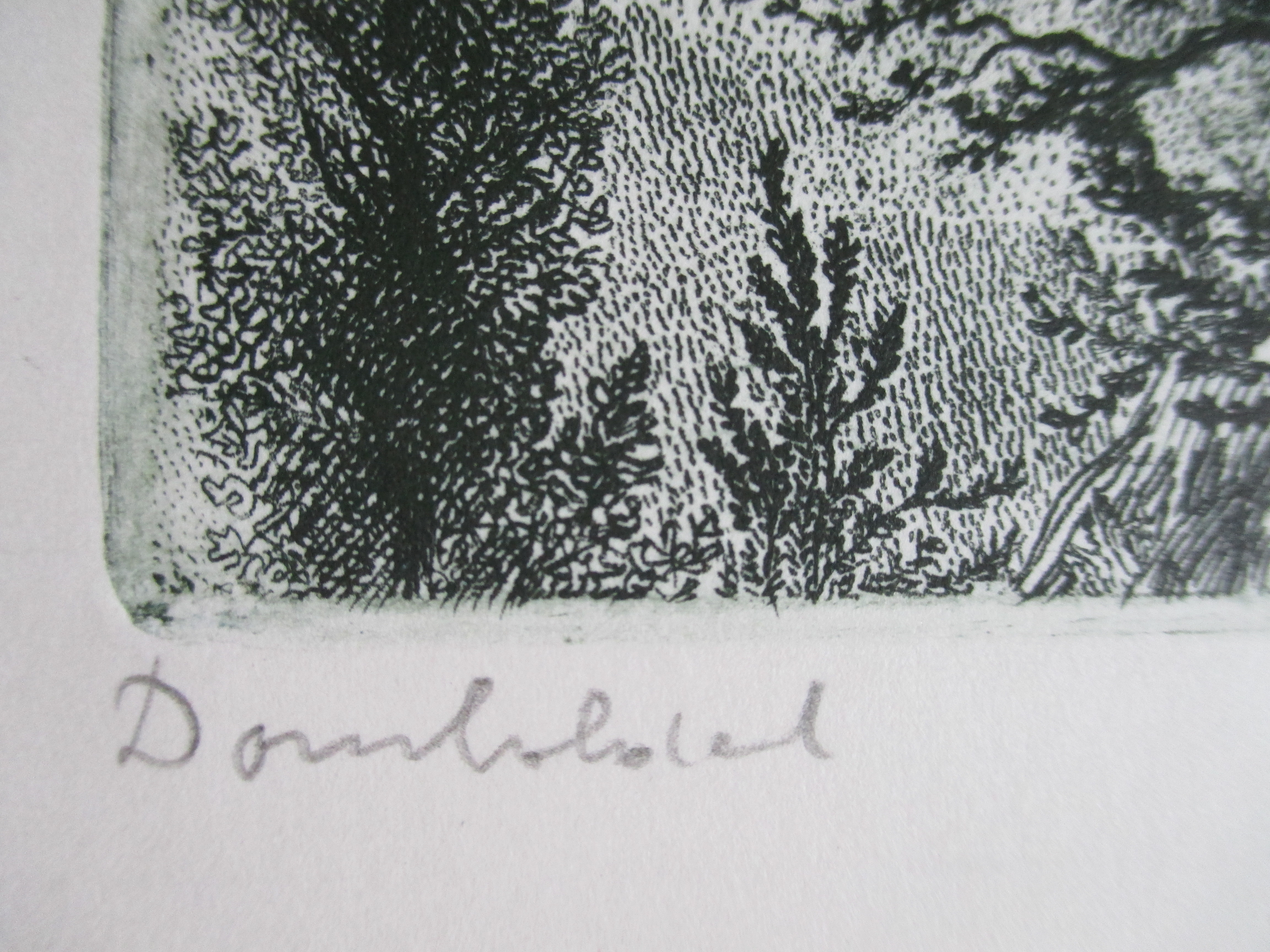 Arnold Gross - Ets landschap kopen? Bied vanaf 40!