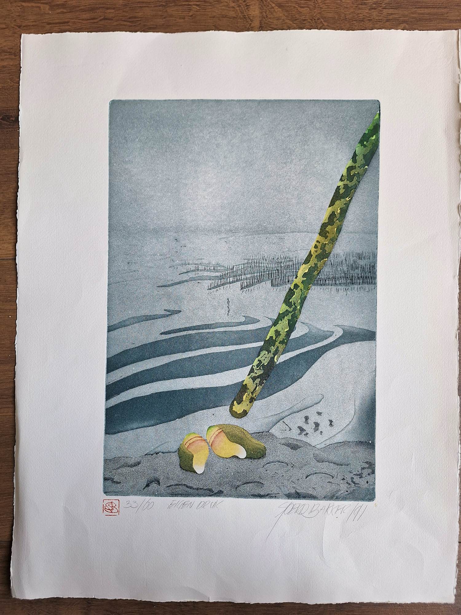 Sjoerd Bakker - Onbekend kopen? Bied vanaf 50!