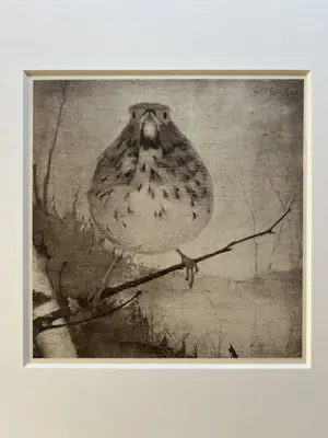 Jan Mankes - Originele Heliogravure - Lijster op Tak 1923 kopen? Bied vanaf 165!