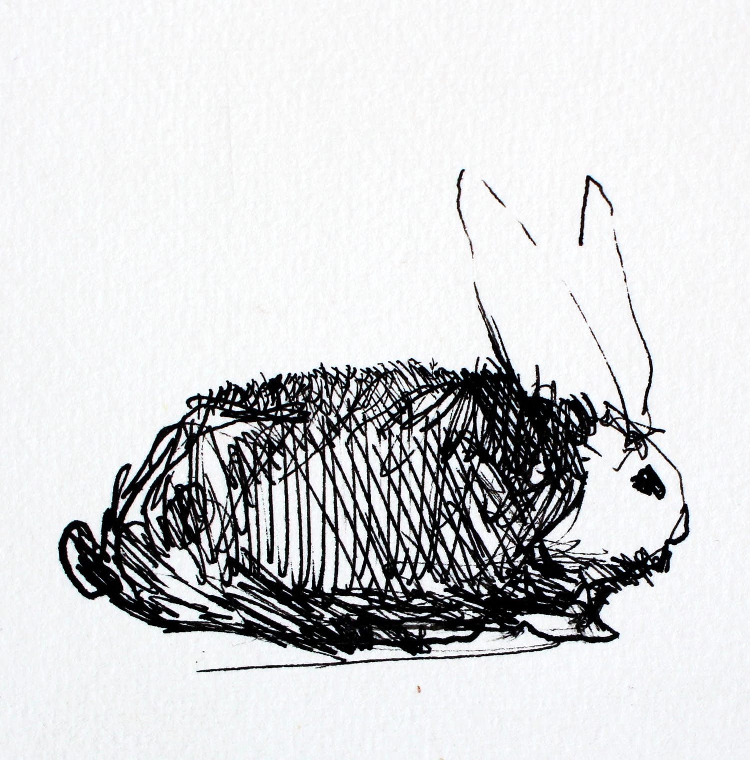 Dirkje Kuik - Inkttekening uit het boek: "de nachtcactus bloeit" verkocht voor € 55!