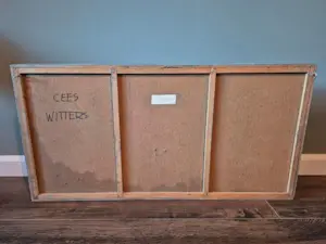 Cornelis Witters - Spin in web kopen? Bied vanaf 75!