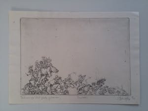 Hans Kuyt - Belcampo - Het Grote Gebeuren - De Duivels kopen? Bied vanaf 75!