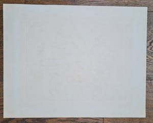 Kuno Brinks - Lavendelpluksters kopen? Bied vanaf 150!