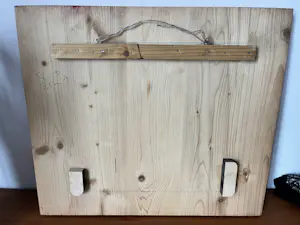 DZIA - Vogel kopen? Bied vanaf 450!