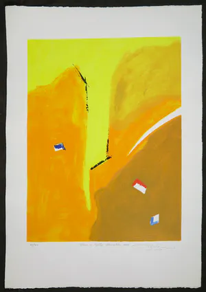 Gerard Bijnens - Zeefdruk, Tekens in tijdloze kleurvelden kopen? Bied vanaf 1!