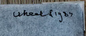 Dirkje Kuik - Inkt tekening: Roofspin - 1984 (gesigneerd) kopen? Bied vanaf 225!