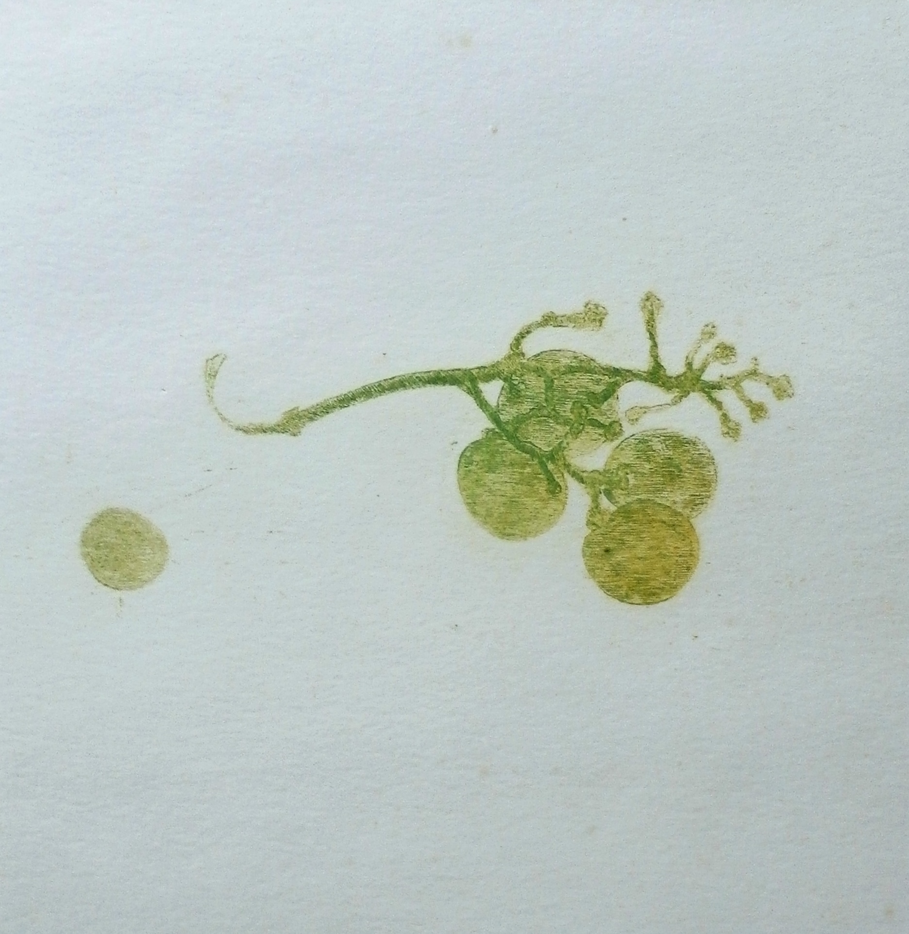 Eduard Flor - Gekleurde ets kopen? Bied vanaf 35!