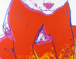 Andy Warhol - Zeefdruk, Giant Panda uit de serie 'Endangered Species' - Ingelijst (Groot) kopen? Bied vanaf 2500!