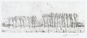 Fred Bervoets - Ets, Bomenrij kopen? Bied vanaf 35!