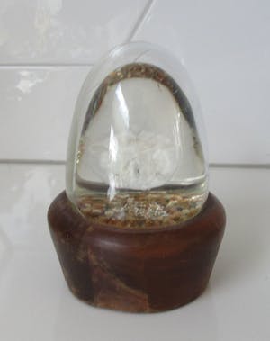 Niet of onleesbaar gesigneerd - Zoologisch object op sterk water als presse papier - Rodelco Gems - Vinkeveen kopen? Bied vanaf 1!