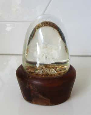 Niet of onleesbaar gesigneerd - Zoologisch object op sterk water als presse papier - Rodelco Gems - Vinkeveen verkocht voor € 1!