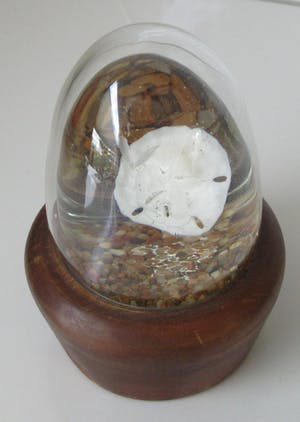 Niet of onleesbaar gesigneerd - Zoologisch object op sterk water als presse papier - Rodelco Gems - Vinkeveen kopen? Bied vanaf 1!