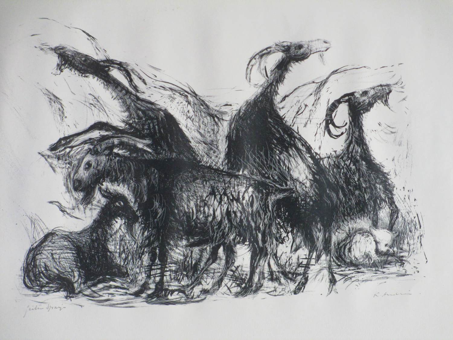 Kees Andrea - Geiten Spanje - Litho verkocht voor € 38!