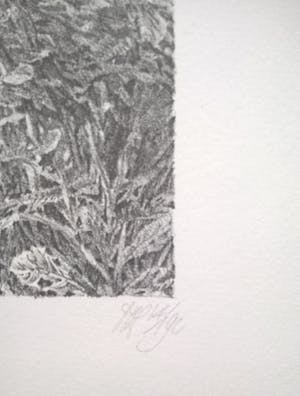 Peter Vos - Verte - gesigneerde litho kopen? Bied vanaf 250!