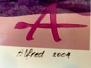 Alfred Degens - 'On The Rocks' - GROOT! - Lambdaprint - Handgesigneerd kopen? Bied vanaf 30!