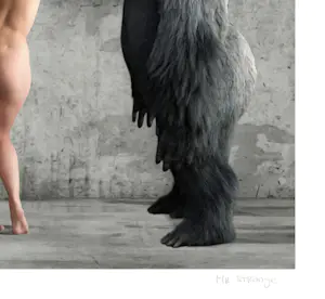 Mr. Strange - The Beauty and the Beast kopen? Bied vanaf 80!