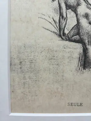 Felicien Rops - Seule. 1908. Ingelijst. kopen? Bied vanaf 89!