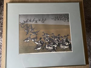 Piet Veen - Rotganzen op Schiermonnikoog kopen? Bied vanaf 100!