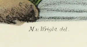 Wilhelm von Wright - Litho, Haematopus Ostralegus, uit Svenska foglar (...) kopen? Bied vanaf 1!