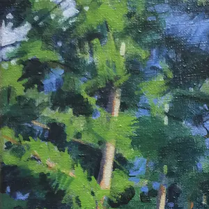 Willem Visser - Naaldbomenbos kopen? Bied vanaf 130!