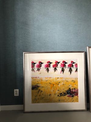 Willem van Scheijndel - Californië kopen? Bied vanaf 100!