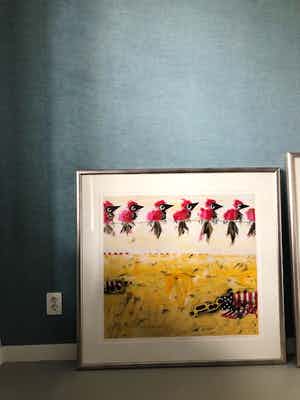 Willem van Scheijndel - Californië verkocht voor € 100!