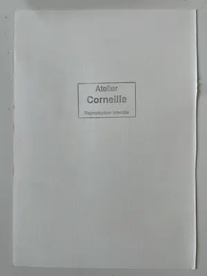 Corneille - Artur Lundkvist Boek Femmes et oiseaux + ets "Et nous ne saurons jamais ..." kopen? Bied vanaf 1!