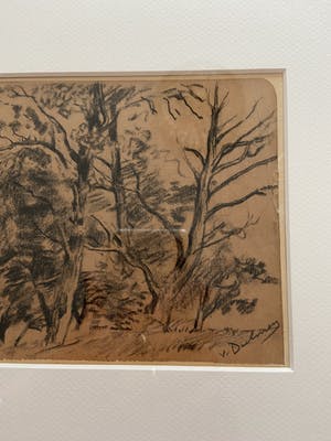 Erasmus Herman van Dulmen Krumpelman - Boomengroep te Zeegse kopen? Bied vanaf 25!