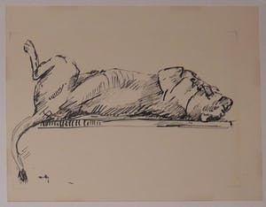 Wim Motz - 4 tekeningen van leeuwen/leeuwinnen kopen? Bied vanaf 50!