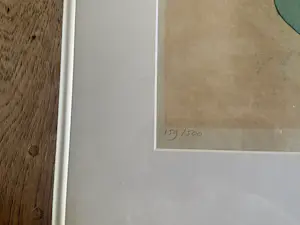 AcheterEllen van Toor - geen idee? Enchérissez de 25!