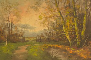 Toon Wildeboer - boslandschap Lage Vuursche kopen? Bied vanaf 1!